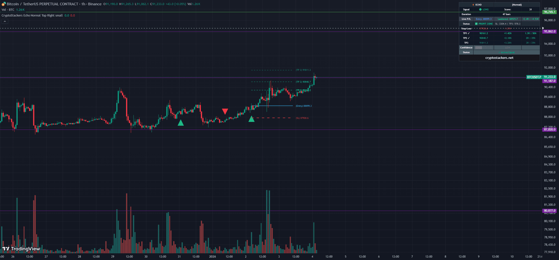 Echo Companion TradingView Indicator Screenshot